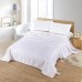 Silk Camel Luxury Allergy-Free Comforter Filled with 100% Natural Long Strand Mulberry Silk for Fall Season（50 to 65 Degree F)