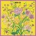 Wensli Women's Silk Scarves - Medium Square